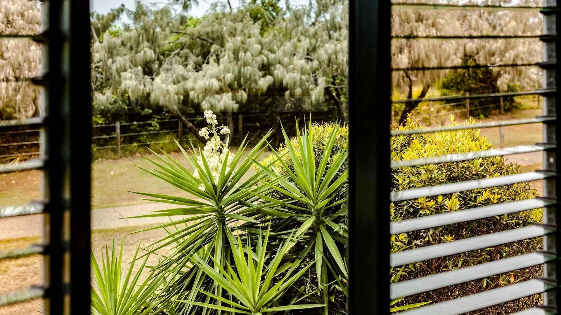 Vakantiehuis Shelly Oceanfront Estate Villa Caloundra
